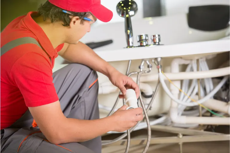 Plumbing & Sanitary Inspection